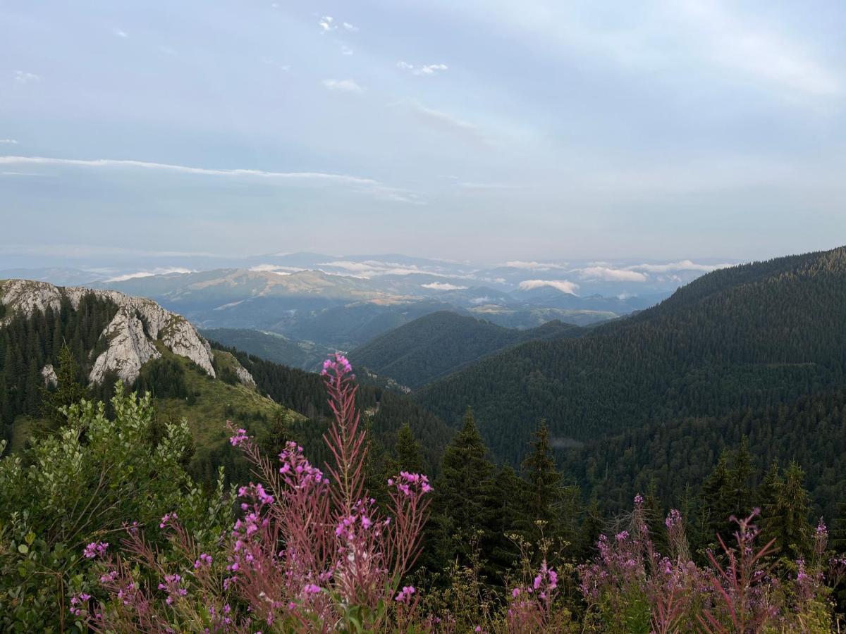 Lux Apartman A18 & Spa Centar Kopaonik Bagian luar foto